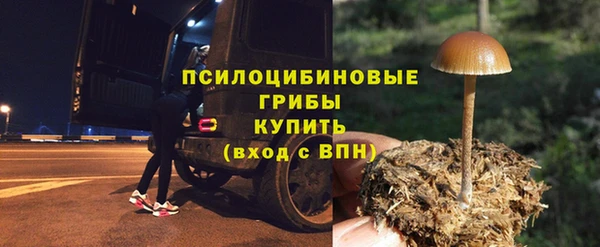 гидра Домодедово